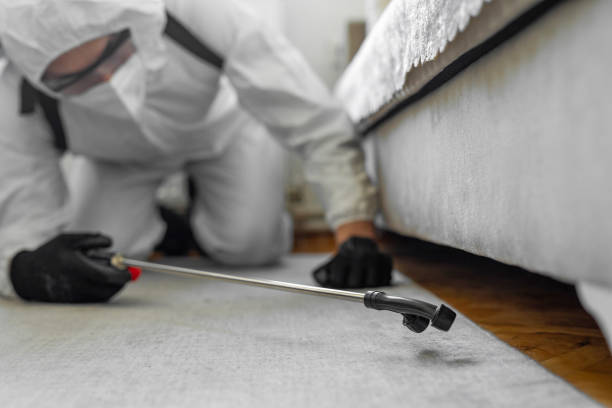 Professional Termite Control technician working in Parkwood, CA