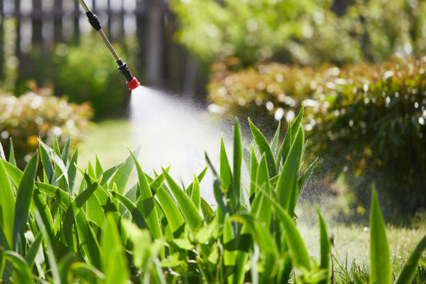 24/7 Emergency Termite Control experts in Parkwood, CA
